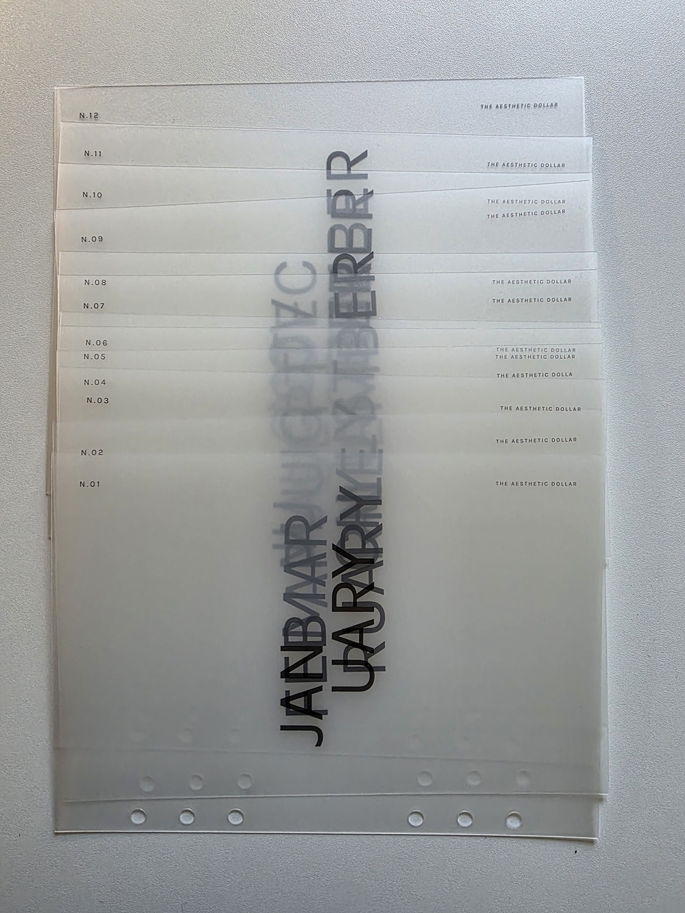 The Aesthetic Dollar Frosted Plastic Monthly Dividers Set Of 12